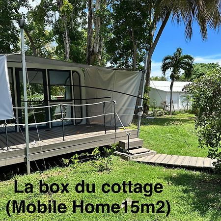 Le Cottage De Castaing Sur Plage Privee Sainte-Anne (Grande-Terre) Exterior foto
